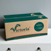 Флористическая губка Victoria Normal